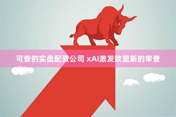 可查的实盘配资公司 xAI激发欧盟新的审查